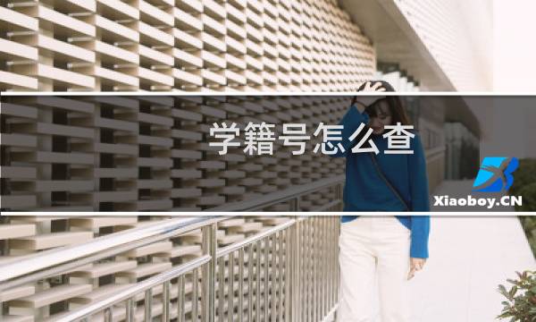 学籍号怎么查（学籍号查找方法）