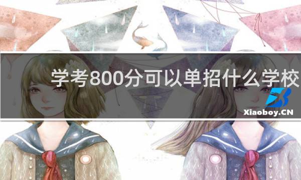 学考800分可以单招什么学校