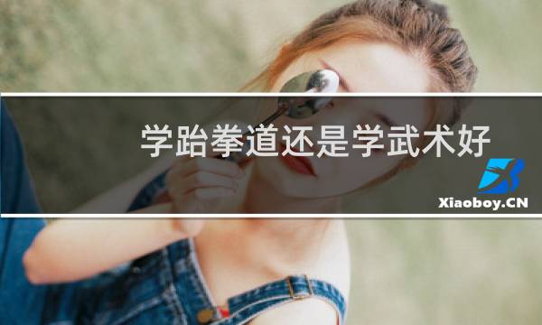 学跆拳道还是学武术好