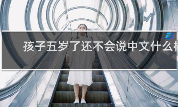 孩子五岁了还不会说中文什么梗