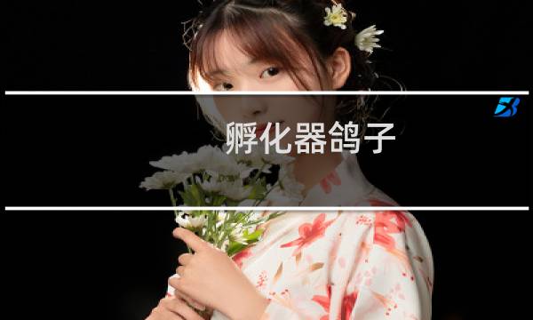 孵化器鸽子
