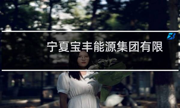 宁夏宝丰能源集团有限公司