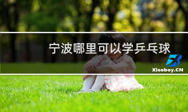 宁波哪里可以学乒乓球