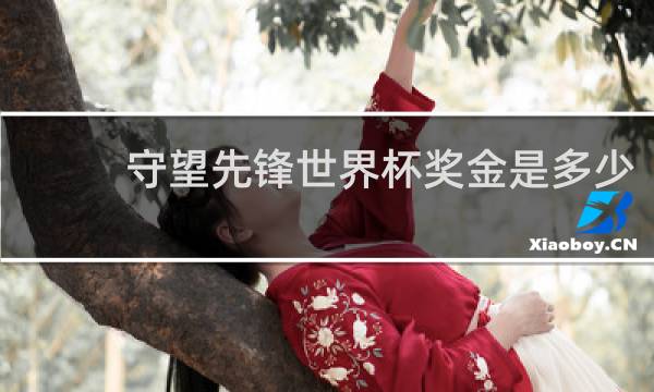 守望先锋世界杯奖金是多少
