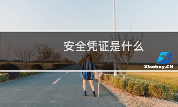 安全凭证是什么?怎么用?