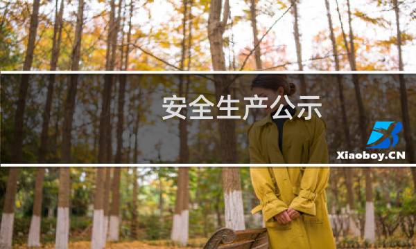 安全生产公示