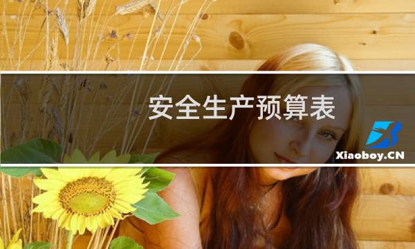 安全生产预算表