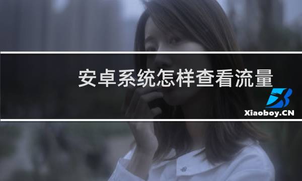 安卓系统怎样查看流量使用情况？