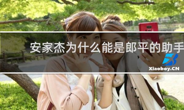 安家杰为什么能是郎平的助手