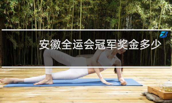 安徽全运会冠军奖金多少