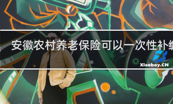 安徽农村养老保险可以一次性补缴吗图片