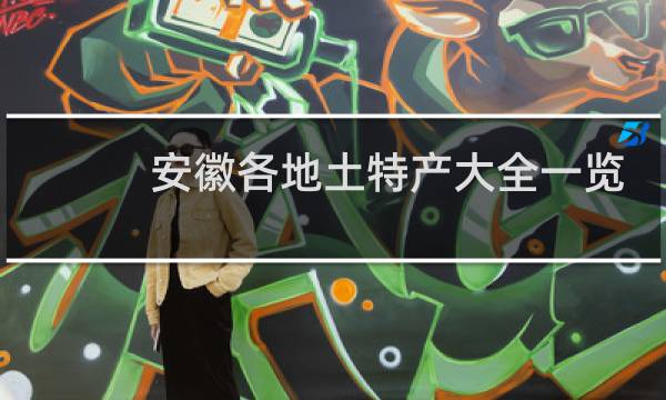 安徽各地土特产大全一览表图片