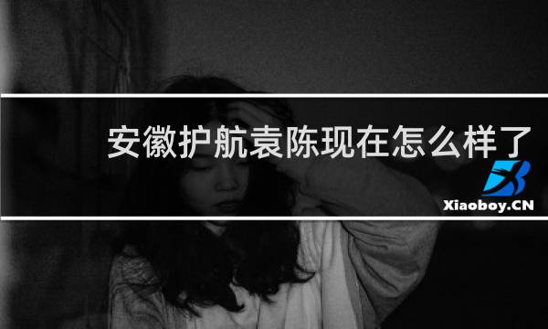 安徽护航袁陈现在怎么样了