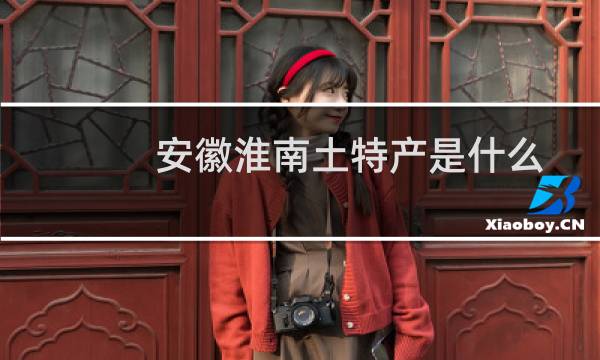 安徽淮南土特产是什么图片