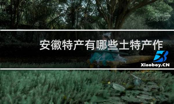 安徽特产有哪些土特产作文图片