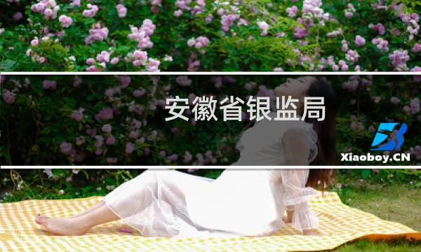 安徽省银监局图片