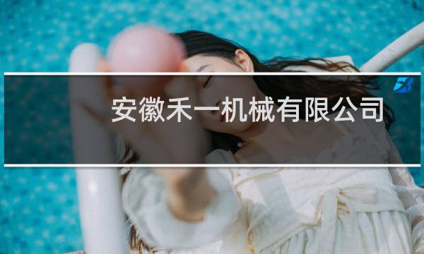 安徽禾一机械有限公司