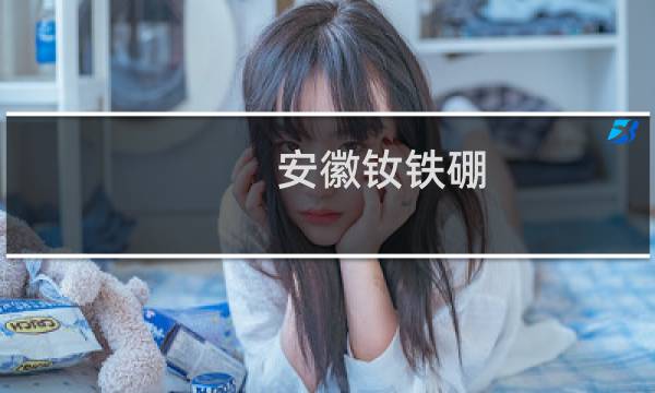 安徽钕铁硼