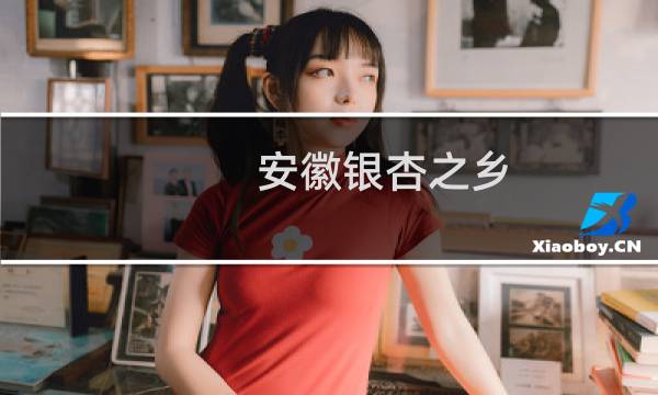 安徽银杏之乡
