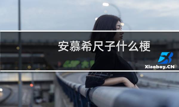 安慕希尺子什么梗