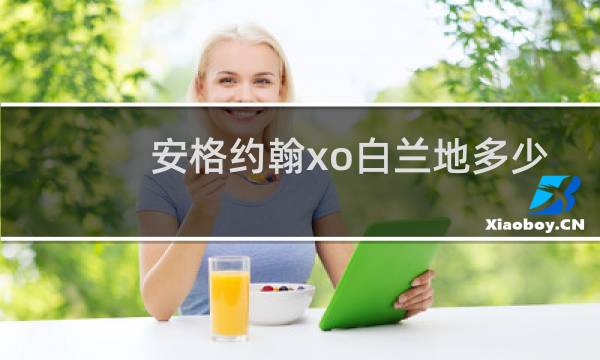 安格约翰xo白兰地多少钱一瓶图片