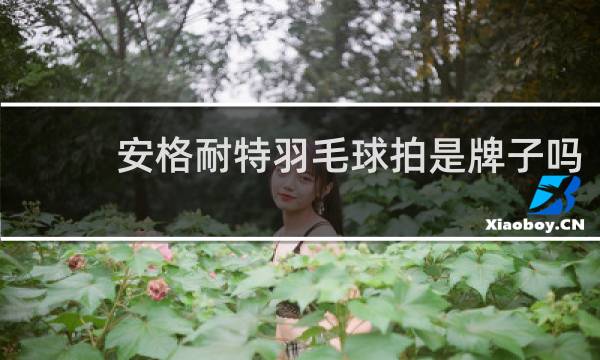 安格耐特羽毛球拍是牌子吗