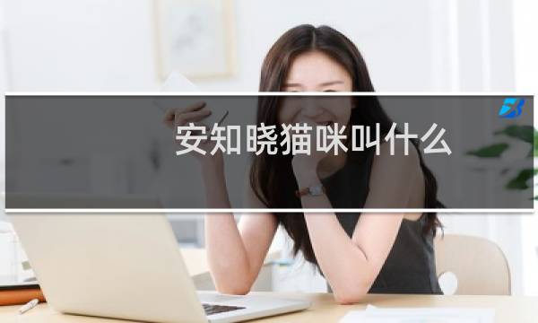 安知晓猫咪叫什么