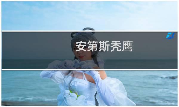 安第斯秃鹰图片