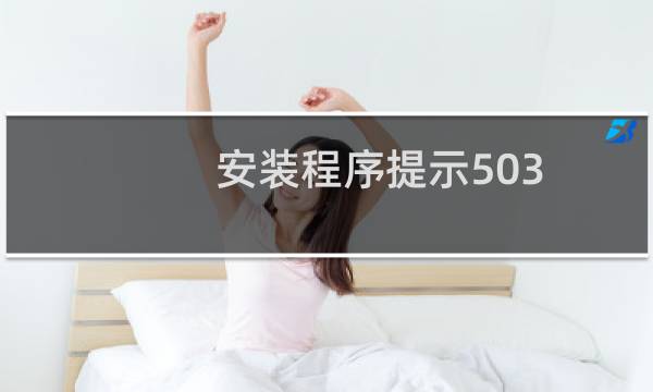 安装程序提示503,未找到程序
