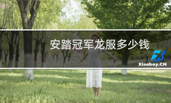 安踏冠军龙服多少钱