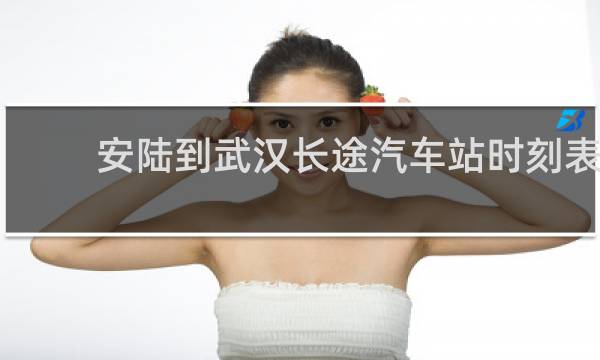 安陆到武汉长途汽车站时刻表的图片