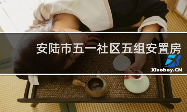 安陆市五一社区五组安置房的图片