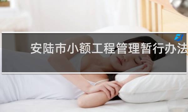 安陆市小额工程管理暂行办法的图片