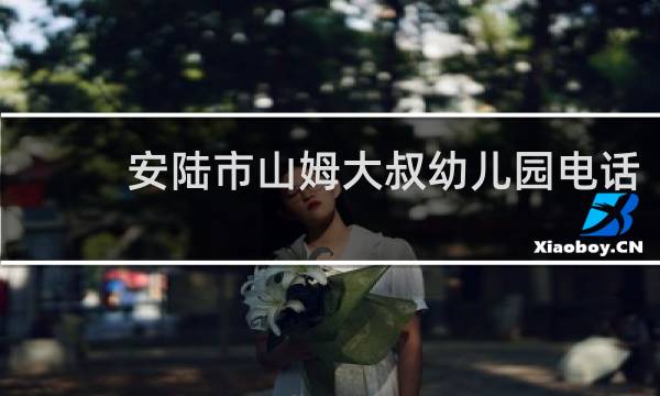 安陆市山姆大叔幼儿园电话的图片