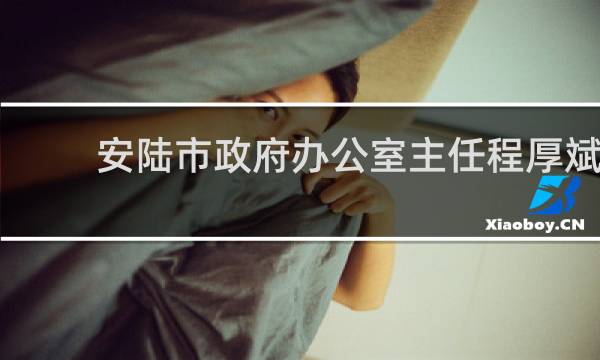 安陆市政府办公室主任程厚斌的图片