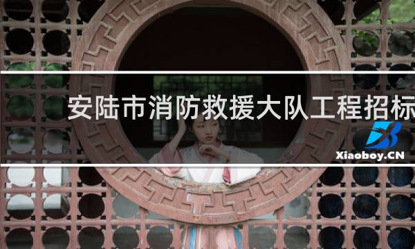 安陆市消防救援大队工程招标的图片