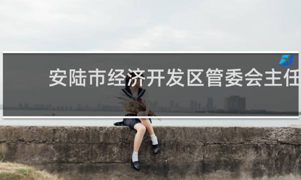 安陆市经济开发区管委会主任是谁的图片