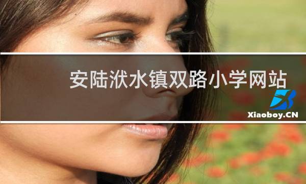 安陆洑水镇双路小学网站的图片