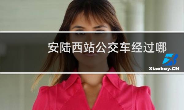 安陆西站公交车经过哪些站