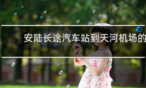 安陆长途汽车站到天河机场的车次的图片