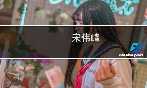 宋伟峰