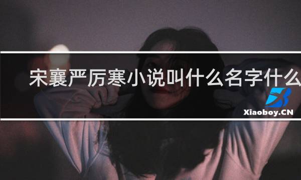 宋襄严厉寒小说叫什么名字什么梗