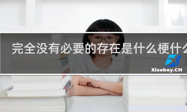 完全没有必要的存在是什么梗什么梗