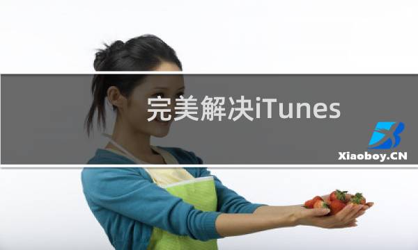 完美解决iTunes“这台电脑已安装了更高版本的”