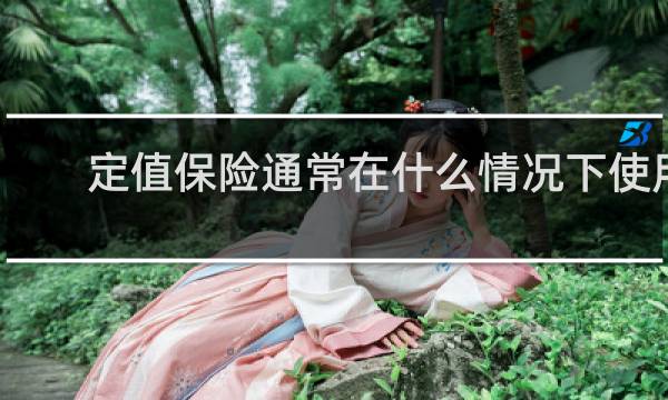 定值保险通常在什么情况下使用图片