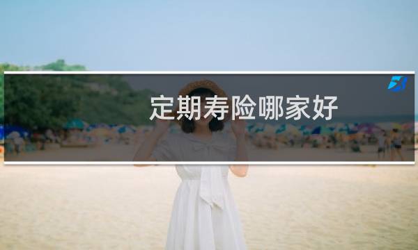 定期寿险哪家好