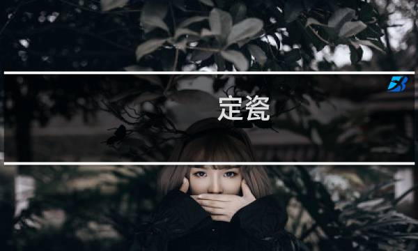 定瓷图片
