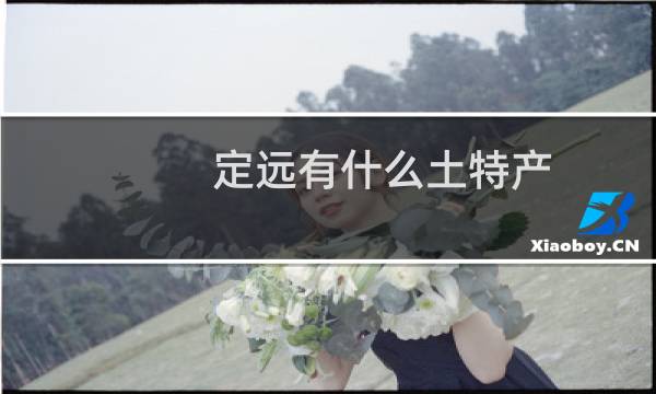 定远有什么土特产图片