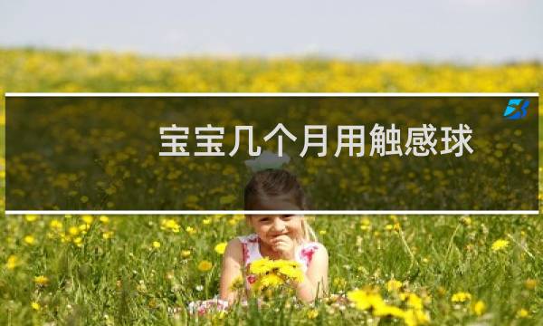 宝宝几个月用触感球