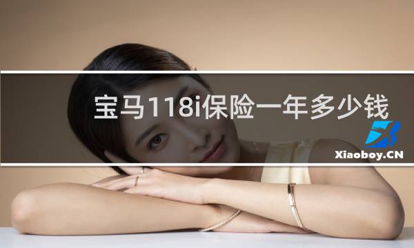 宝马118i保险一年多少钱图片